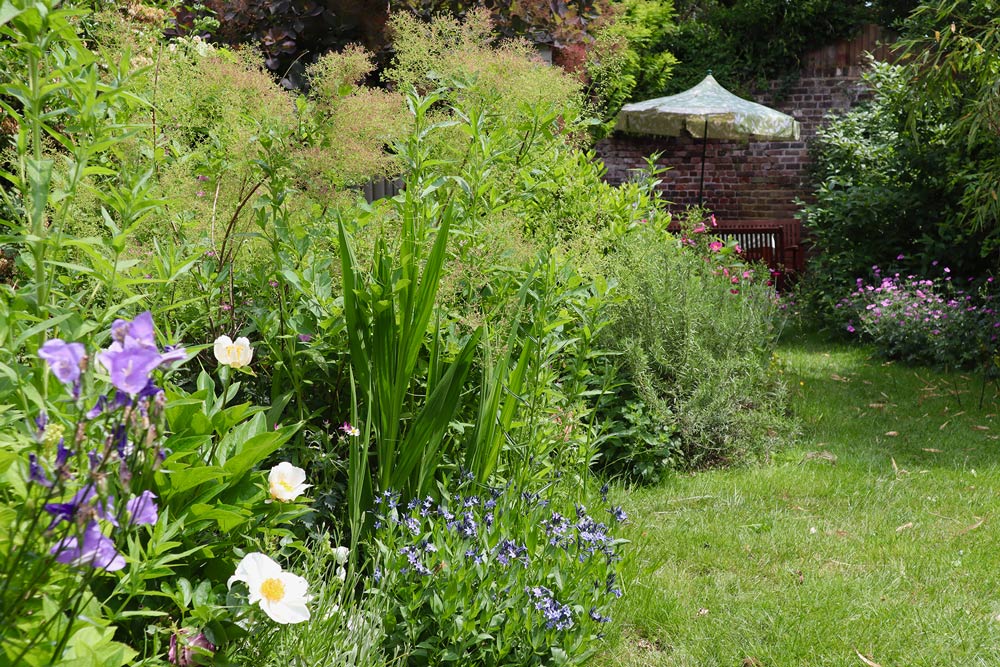 Wild Service Gardens | Gardening Services Blackheath & Greenwich